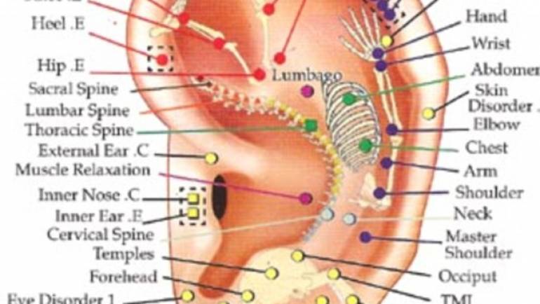 Ear Reflexology (Auriculotherapy)