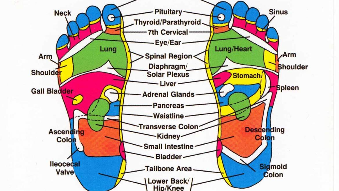 What to expect during a Reflexology session