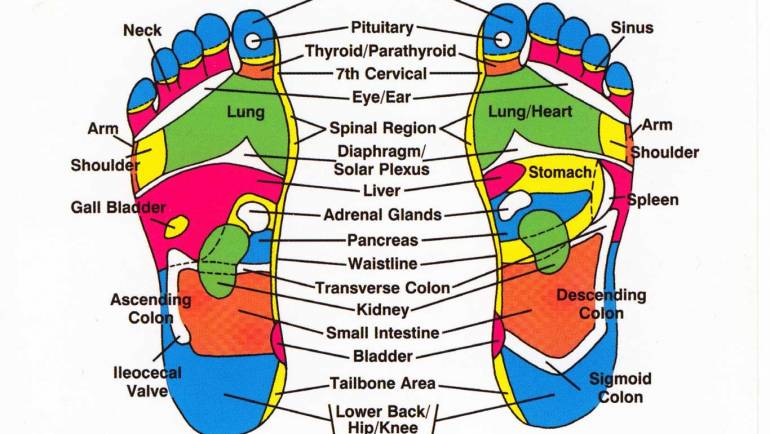 What to expect during a Reflexology session